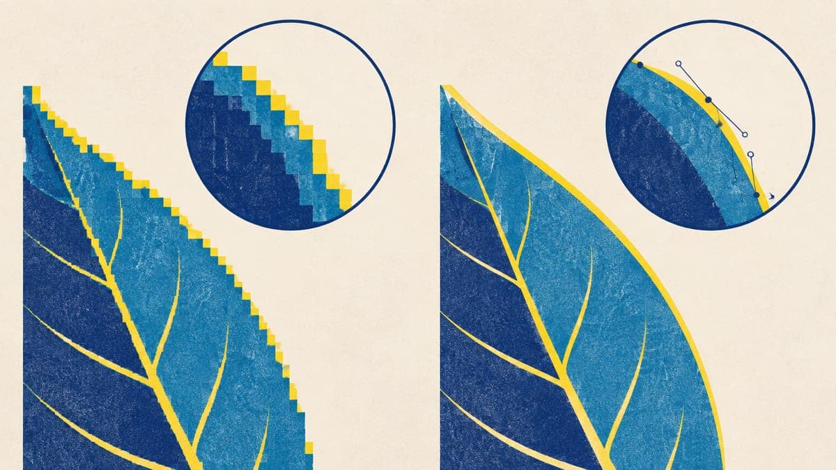 Enlarged leaf edge shown as jagged pixels on the left and as a smooth vector curve with anchor points on the right